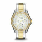 Fossil ES3204