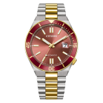 Citizen Tsuyosa NJ0234-58X